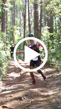 BIB:  <button type="button" onclick="openModal(26569481)" class="btn btn-primary btn-sm float-right" data-toggle="modal" data-target=".modal-high-quality">
                <i class="fa fa-download"></i> Download
                </button>